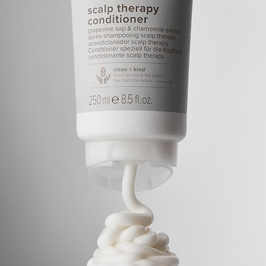 Paul Mitchell Clean Beauty Scalp Therapy Conditioner
