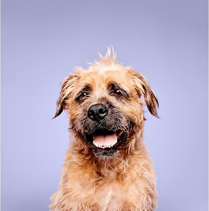 Paul Mitchell Calming Lavender Mint Spray (Pet)