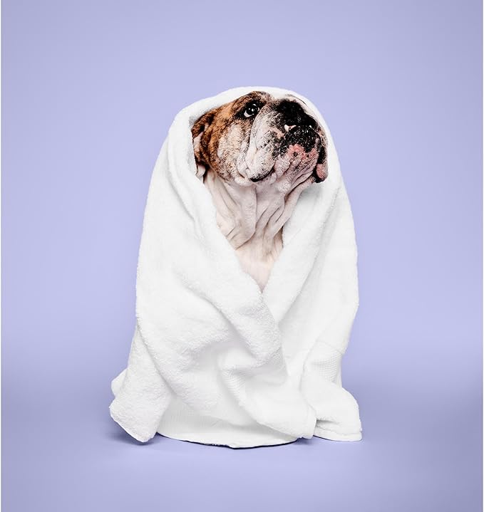 Paul Mitchell Calming Lavender Mint Spray (Pet)