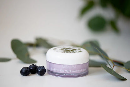 Blueberry Soy Night Recovery Cream flatlay