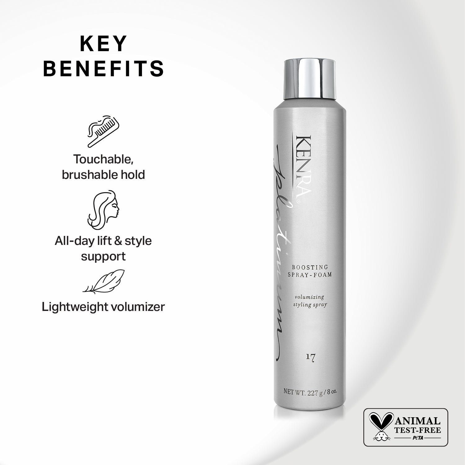 Salon Blissful Platinum Boosting Spray Foam 17 benefits