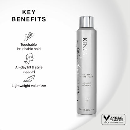 Salon Blissful Platinum Boosting Spray Foam 17 benefits