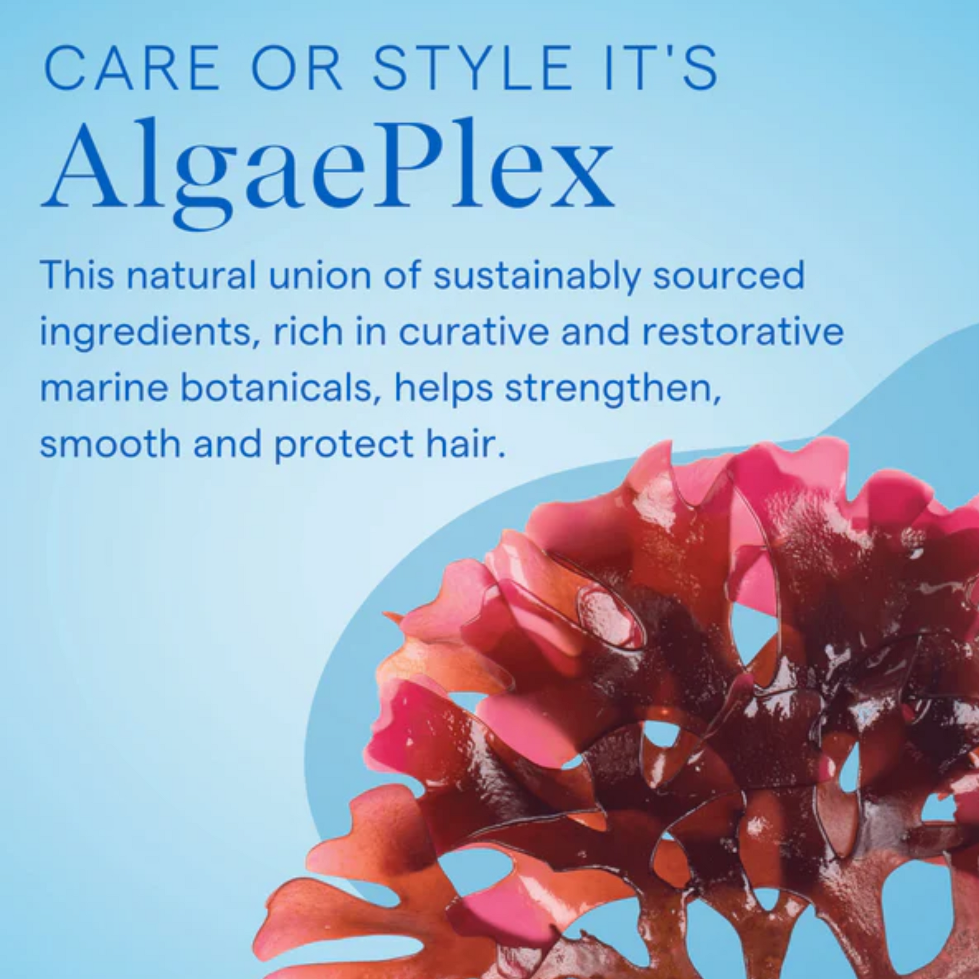 Salon Blissful -Aquage- Uplifting Foam marine botanicals