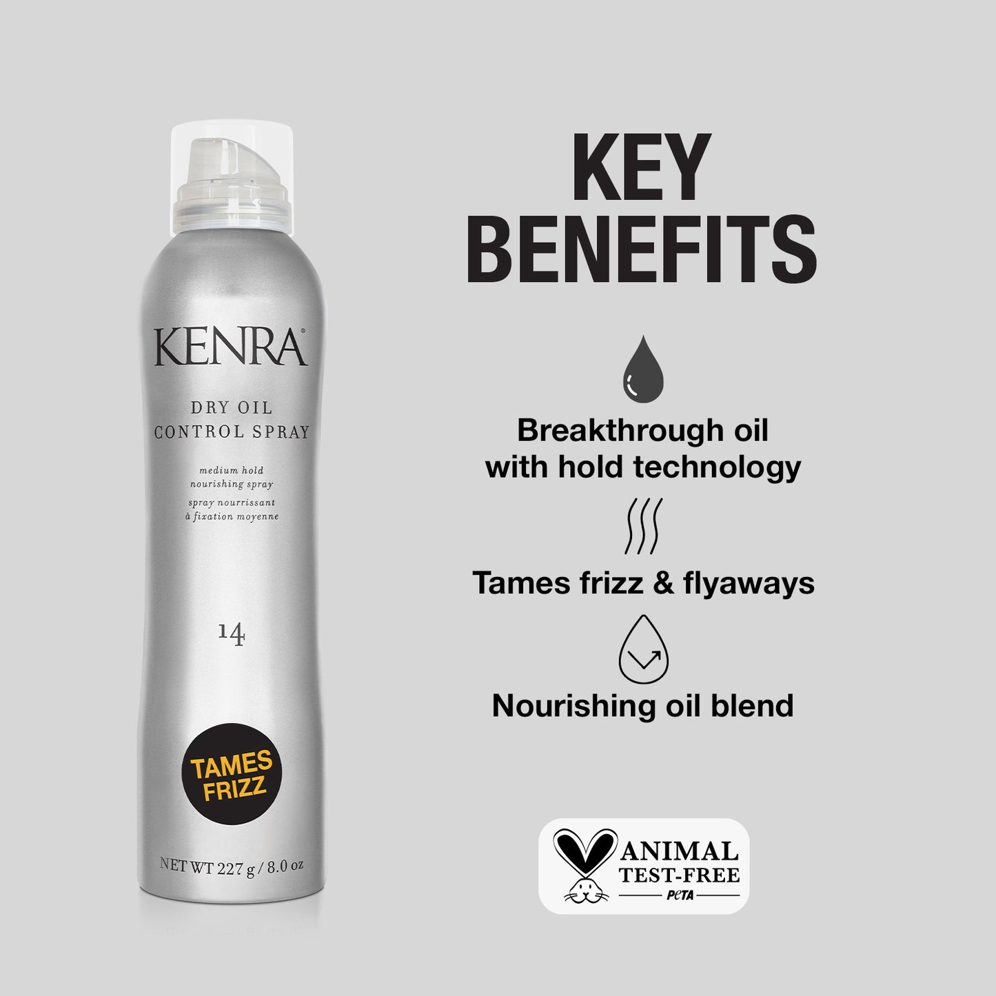 Salon Blissful Kenra Dry Oil Control Spray 14 benefits 