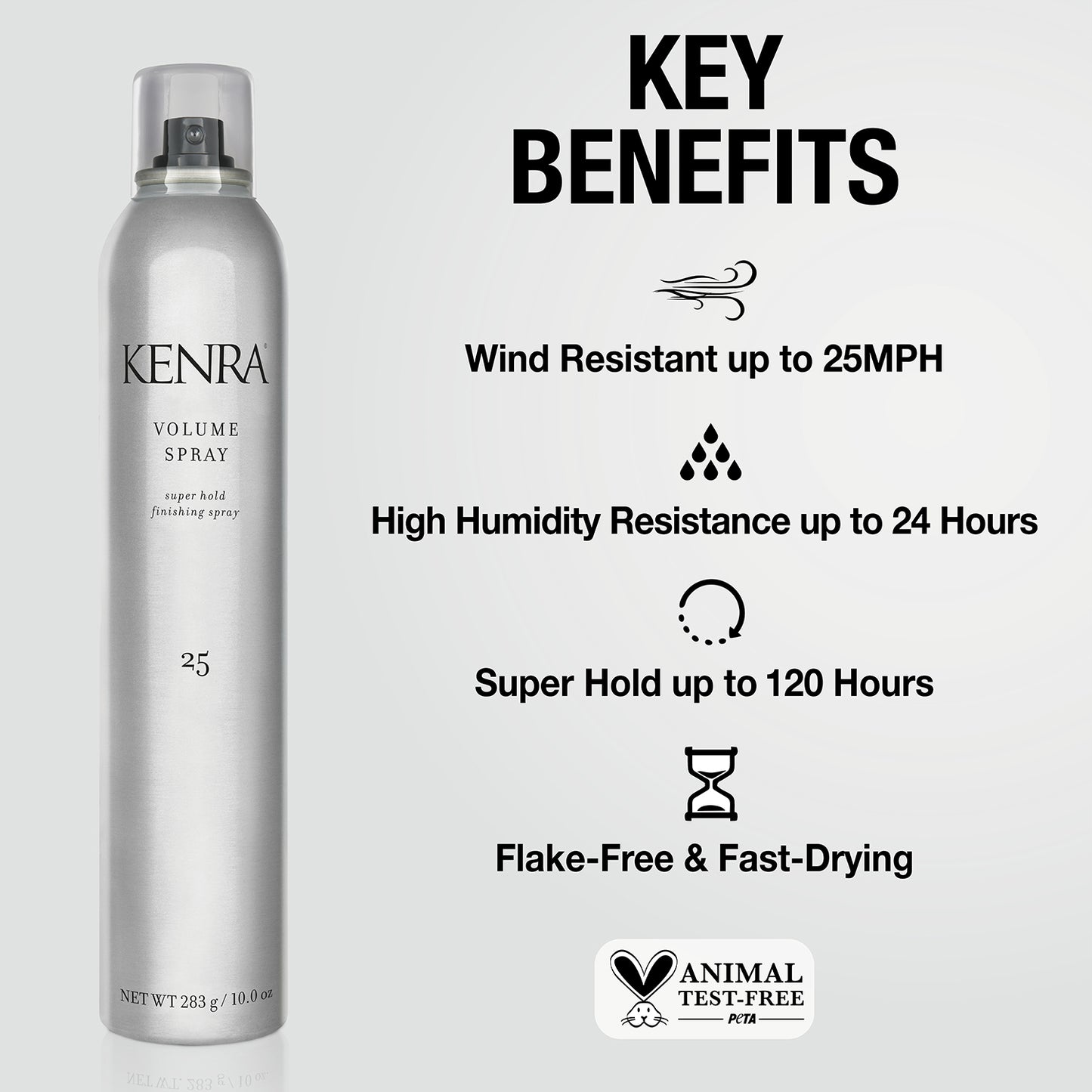 Salon Blissful Volume Spray 25 benefits