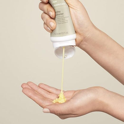 Paul Mitchell Clean Beauty Everyday Conditioner